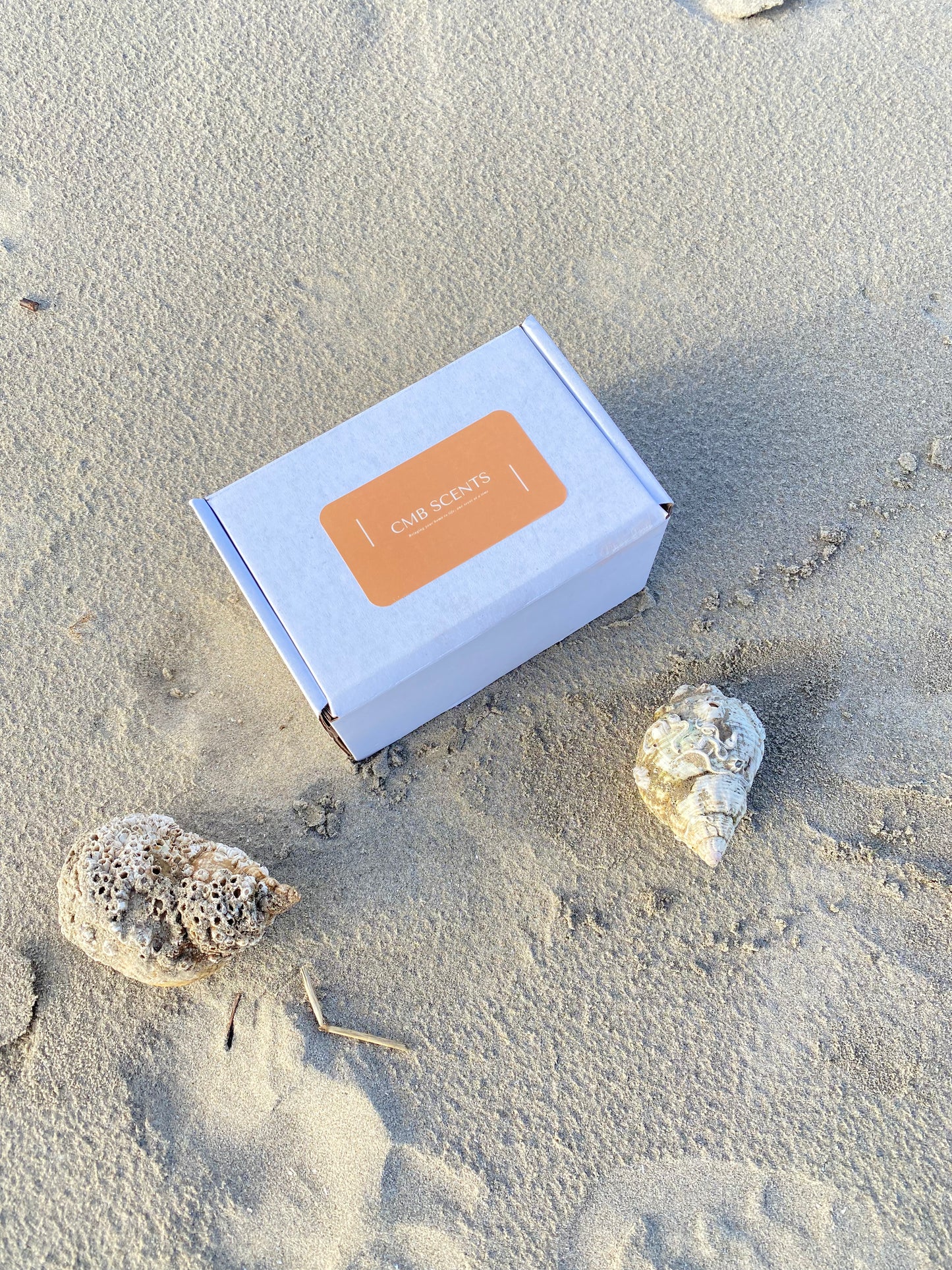 Summer Wax Melt Collection